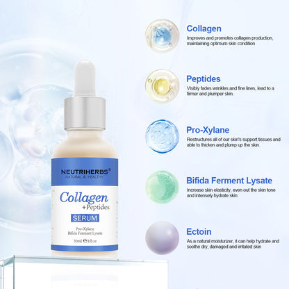 Illustration of the key ingredients in Neutriherbs Collagen + Peptides Serum 30 ml. Shows collagen, peptides, Pro-Xylane, Bifida Ferment Lysate, and ectoin – ingredients that help hydrate the skin, improve elasticity, and reduce visible fine lines.