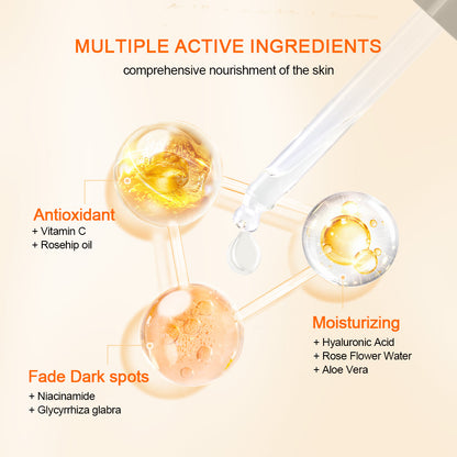 Illustration showing the active ingredients in Neutriherbs Vitamin C + Hyaluronic Acid Serum. Vitamin C and rosehip oil provide antioxidant protection, hyaluronic acid, rose water, and aloe vera hydrate the skin, while niacinamide and licorice root help reduce pigmentation spots and promote a more even skin tone.